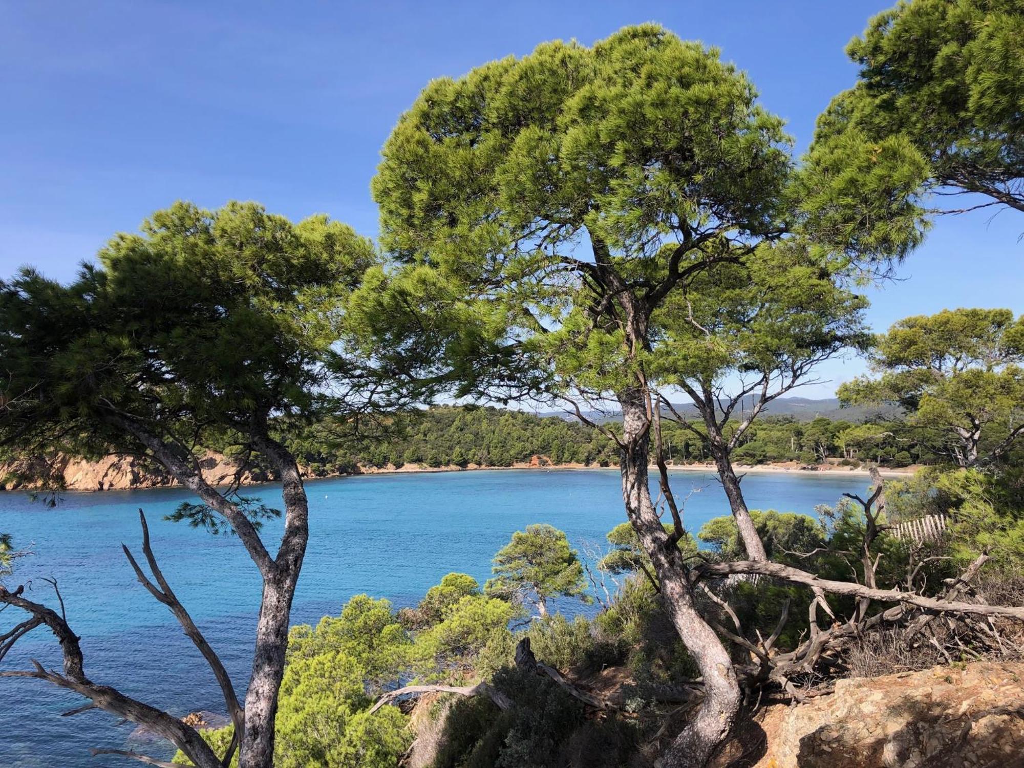 Anglade Le Lavandou